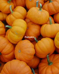 Pumpkin Spice Latte Natural Deodorant (Limited Edition)