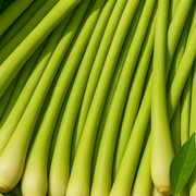 Lemongrass Natural Body Wash